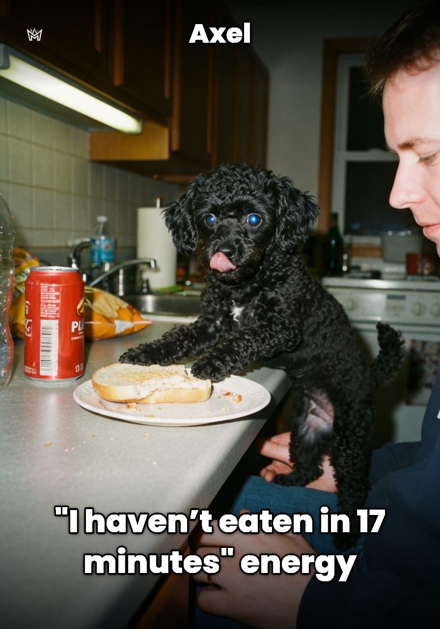 Funny example